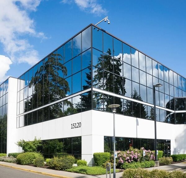 corporate intelligence framing brief