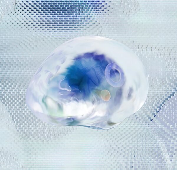 data analysis for identifiers